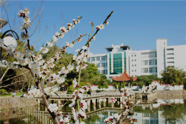 武汉工程大学成教校园风景03