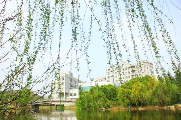 武汉工程大学成教校园风景05