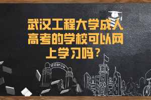 武汉工程大学成人高考的学校可以网上学习吗？
