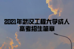2021年武汉工程大学成人高考招生简章