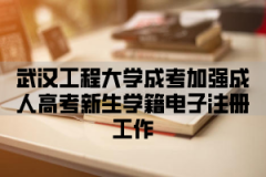 武汉工程大学成考加强新生学籍电子注册工作