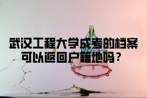 武汉工程大学成考的档案可以返回户籍地吗？