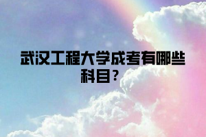 武汉工程大学成考有哪些科目？