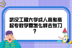 武汉工程大学成人高考高起专数学要怎么样去复习？