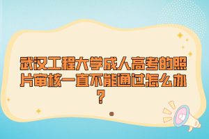 武汉工程大学成人高考的照片审核一直不能通过怎么办？