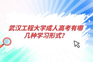 武汉工程大学成人高考有哪几种学习形式？